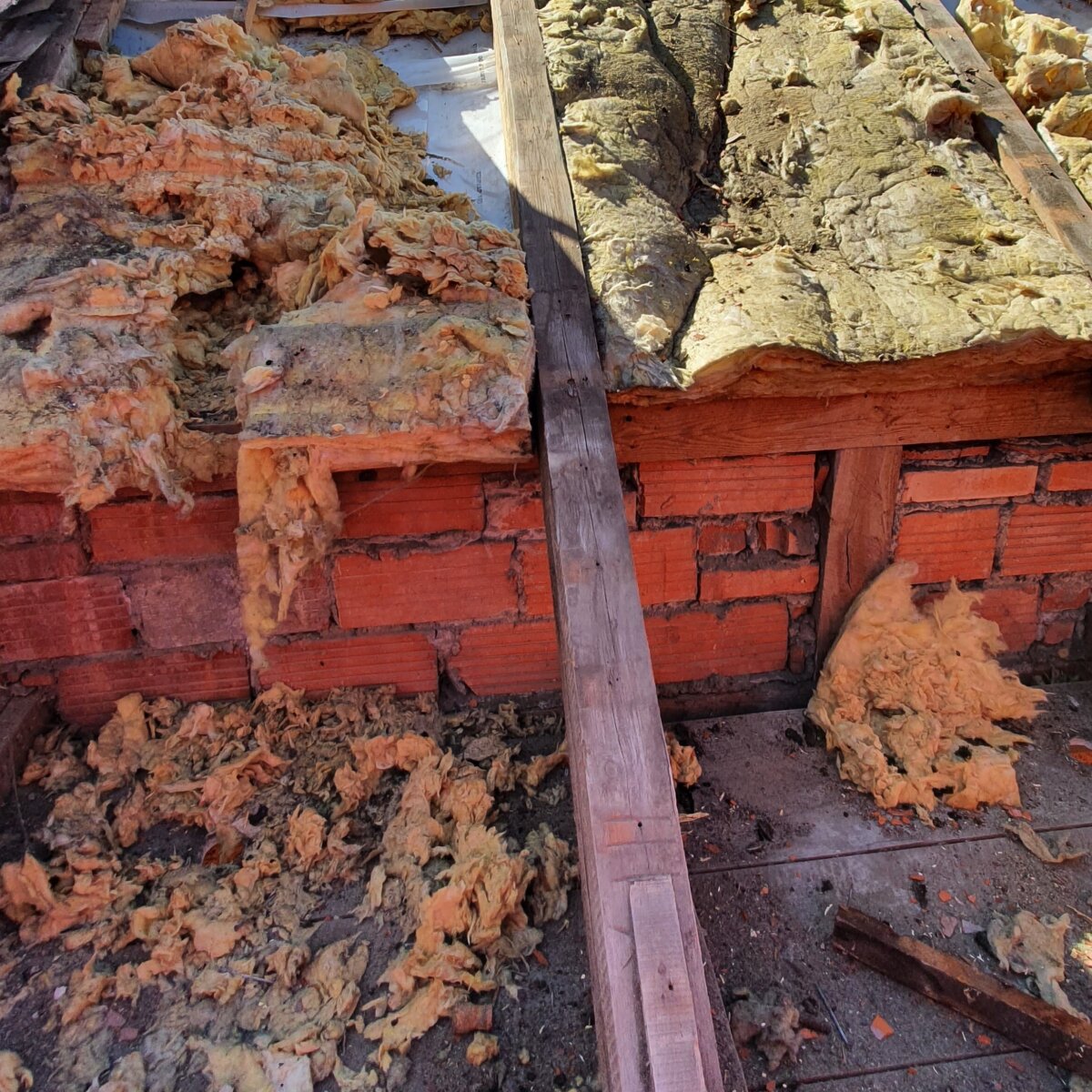 Schaden dach durch tiere marderschaden waermedaemmung maeuse